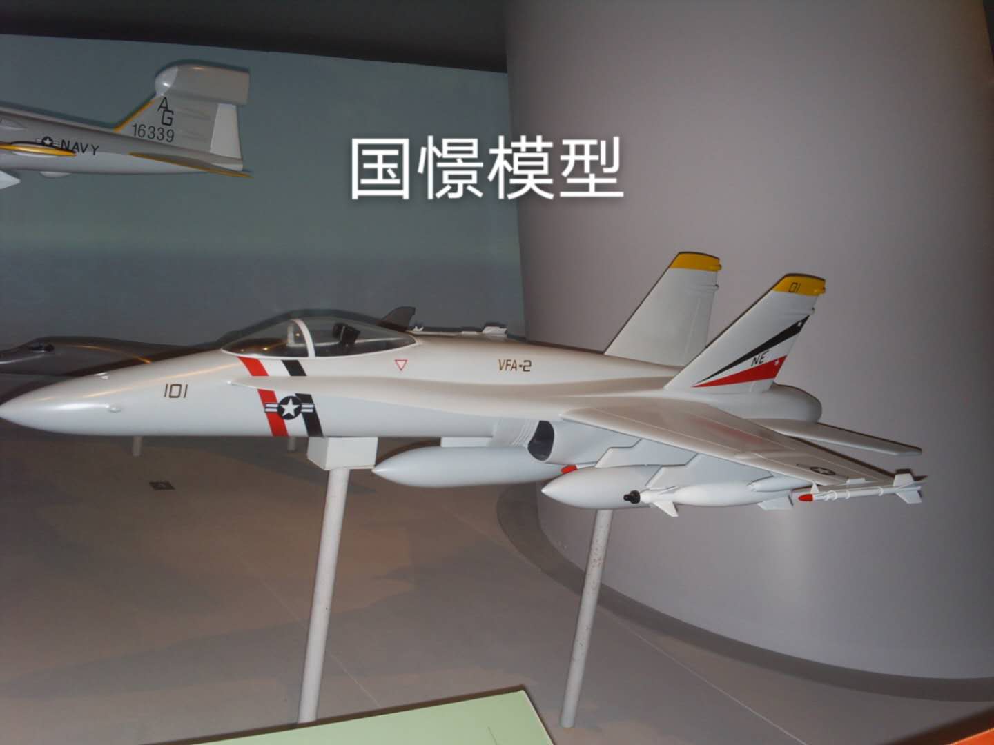 蒲江县军事模型